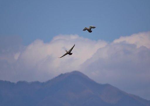 【解放感】ＦＬＹ
