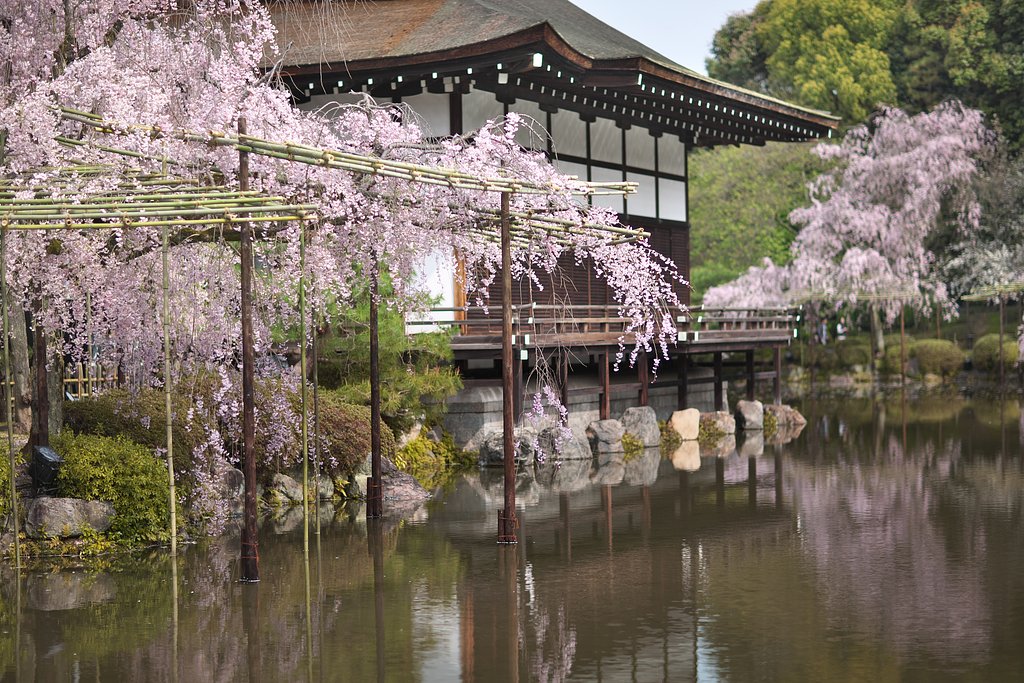 平安神宮神苑２