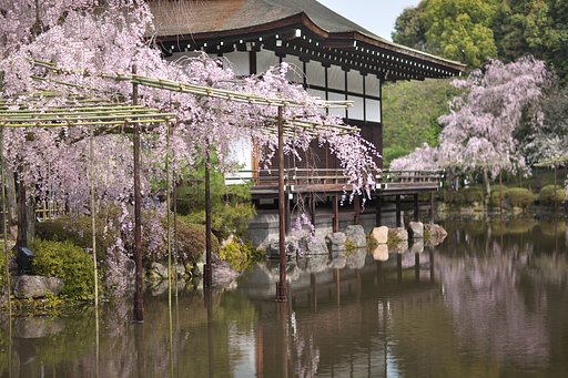 平安神宮神苑２