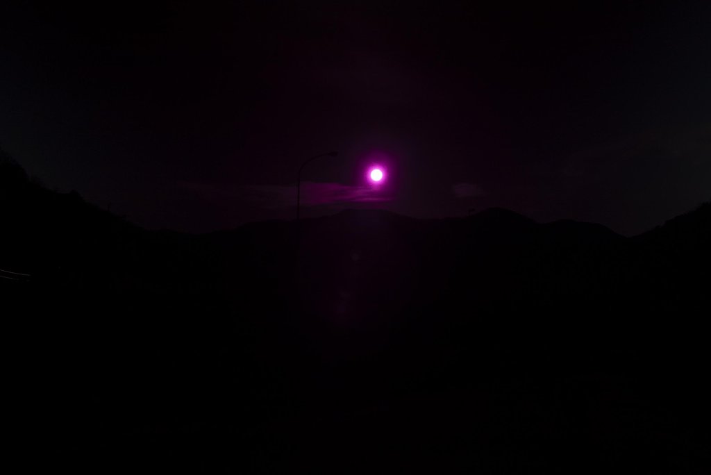 朝の太陽！