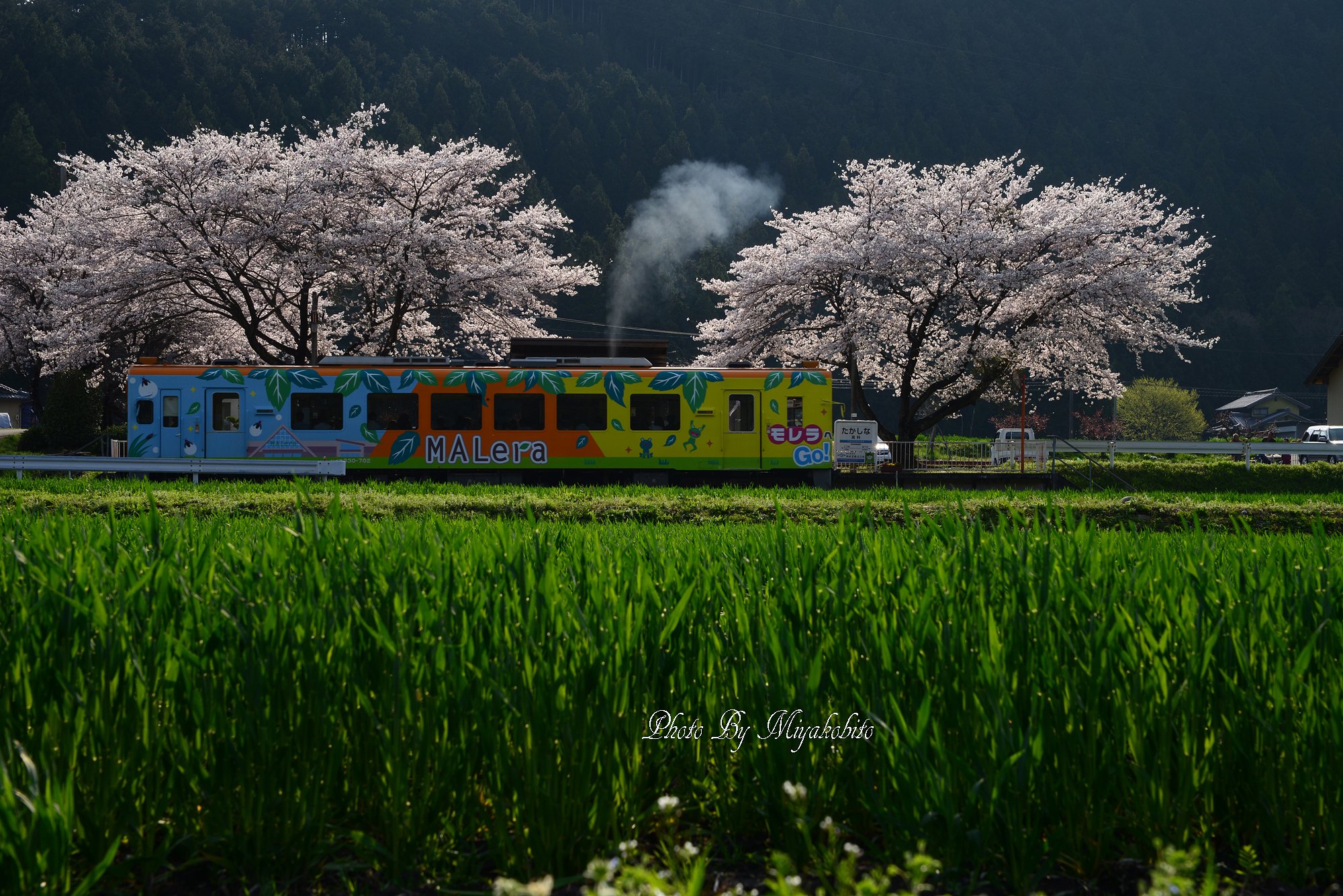 モレラ！GO～