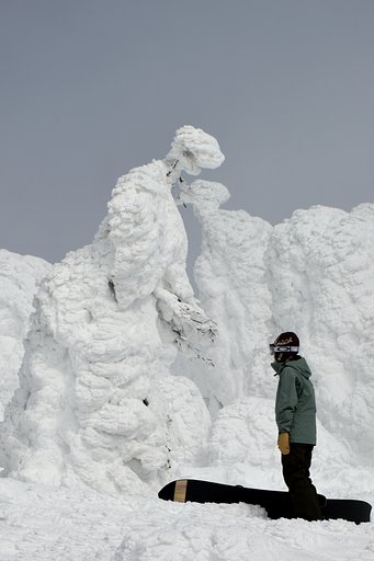氷の女神官