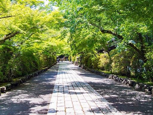 【開放感】参道