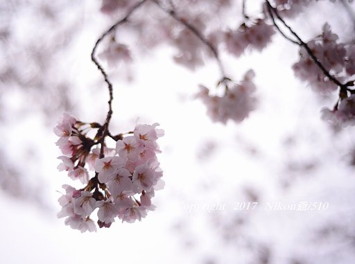 本年度最終日