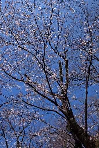 EF24-70mm F4 L IS