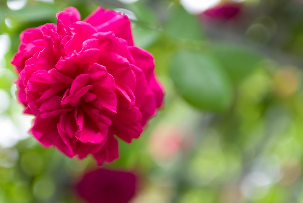 SIGMA 30mm F1.4 DC HSM