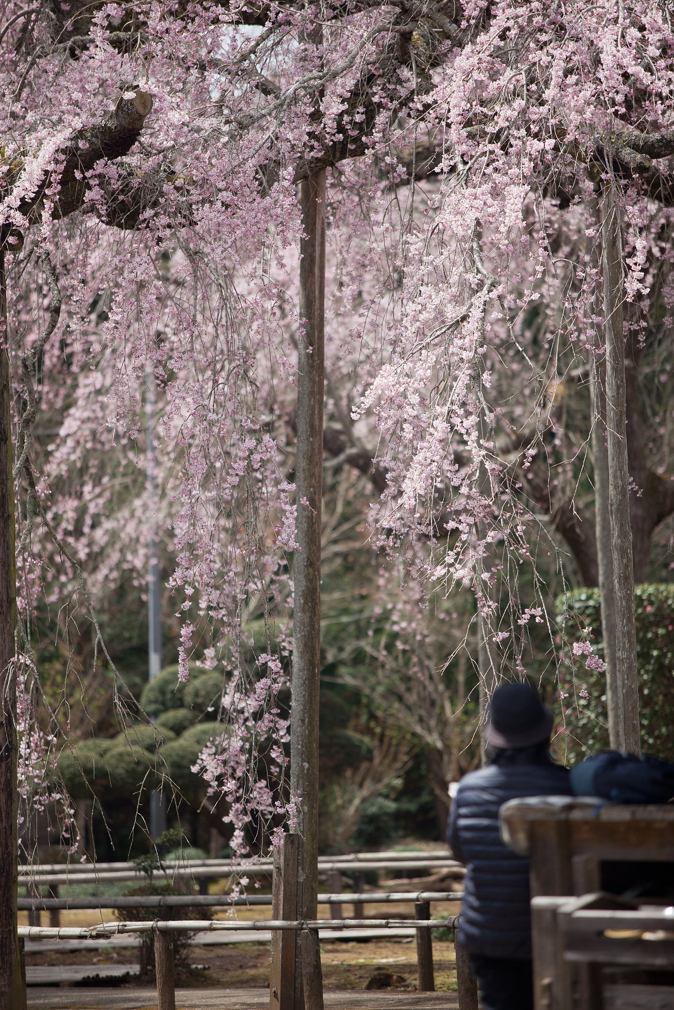 EF70-200F2.8L