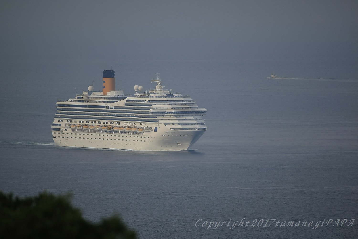 COSTA FORTUNA