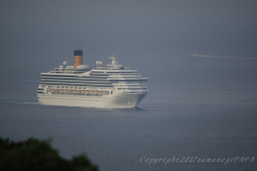 COSTA FORTUNA