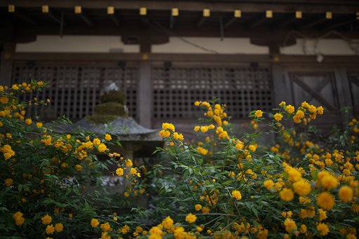 松尾大社