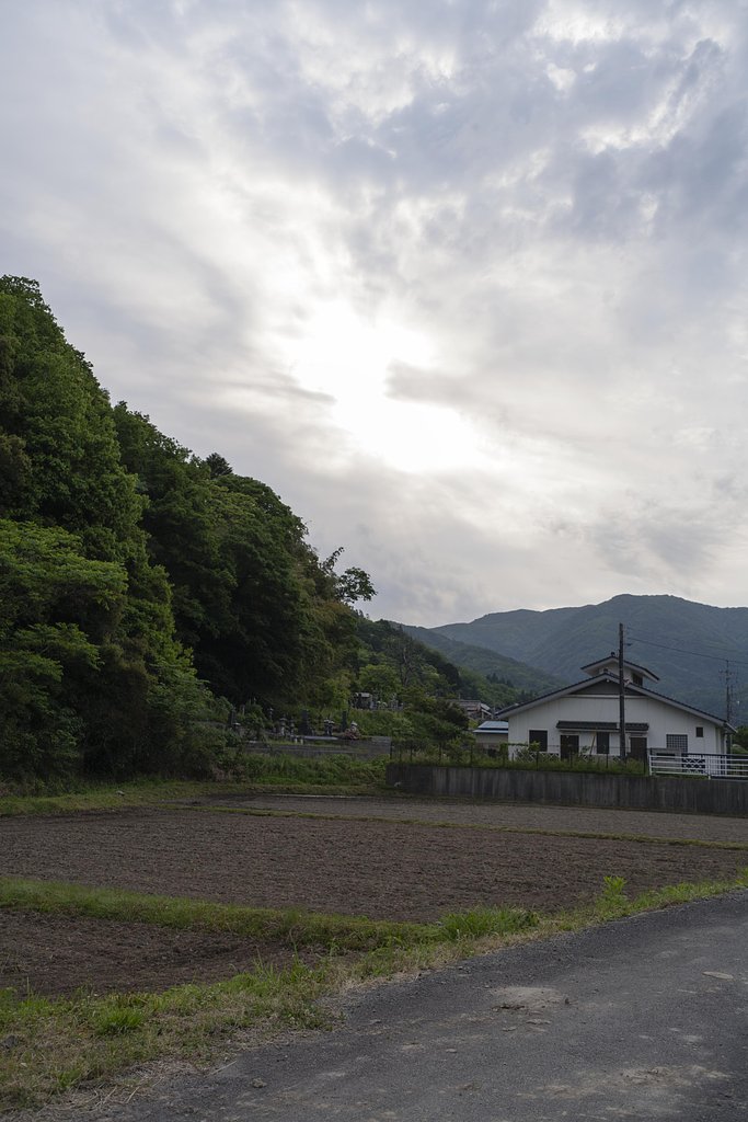 晴れ?