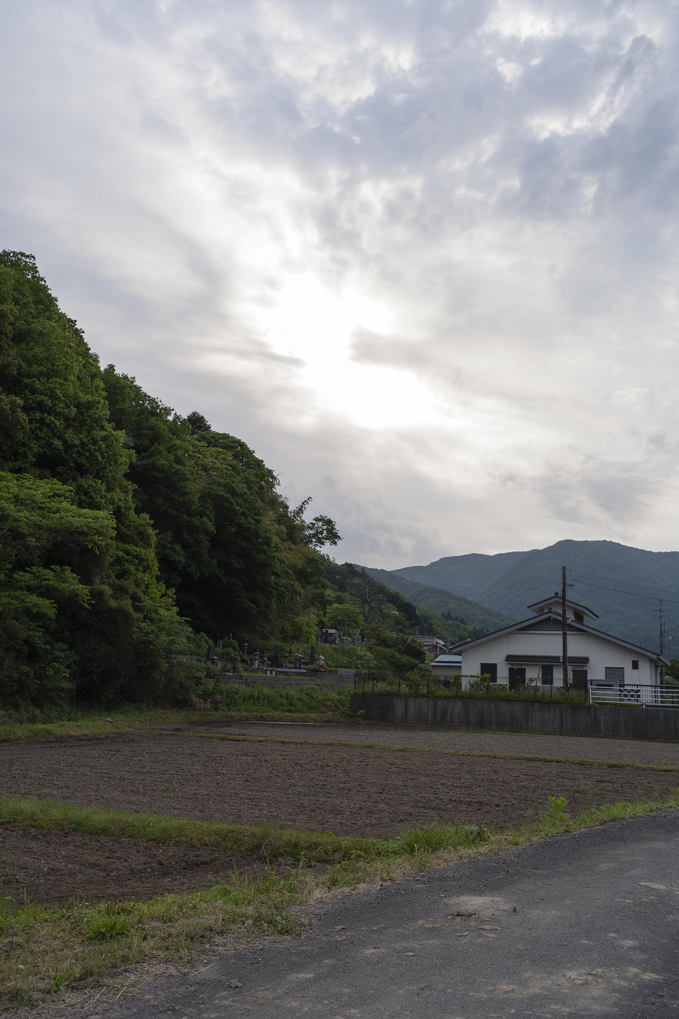 晴れ?