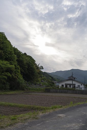 晴れ?