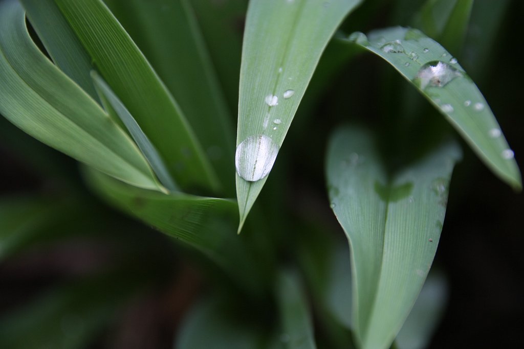 雨粒で遊びました