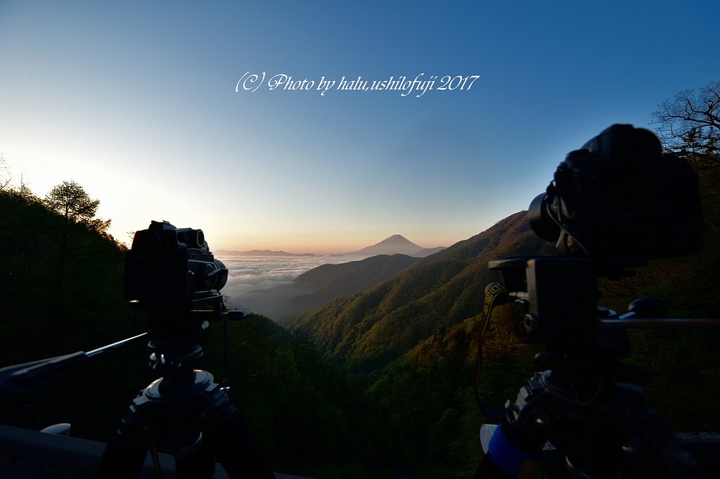 雲上の現場