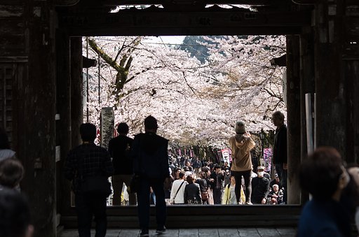 聖域より