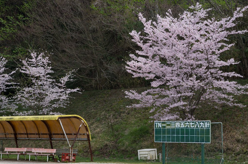 野球場