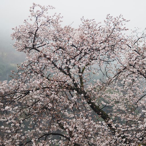 雨に煙る風景ーその３