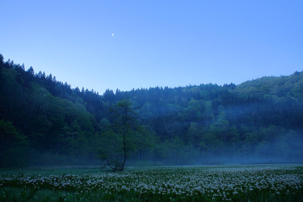 月の雫は
