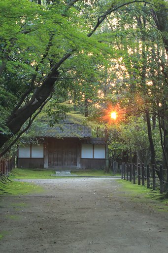 いつものお寺