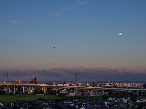 【夏】今朝の月