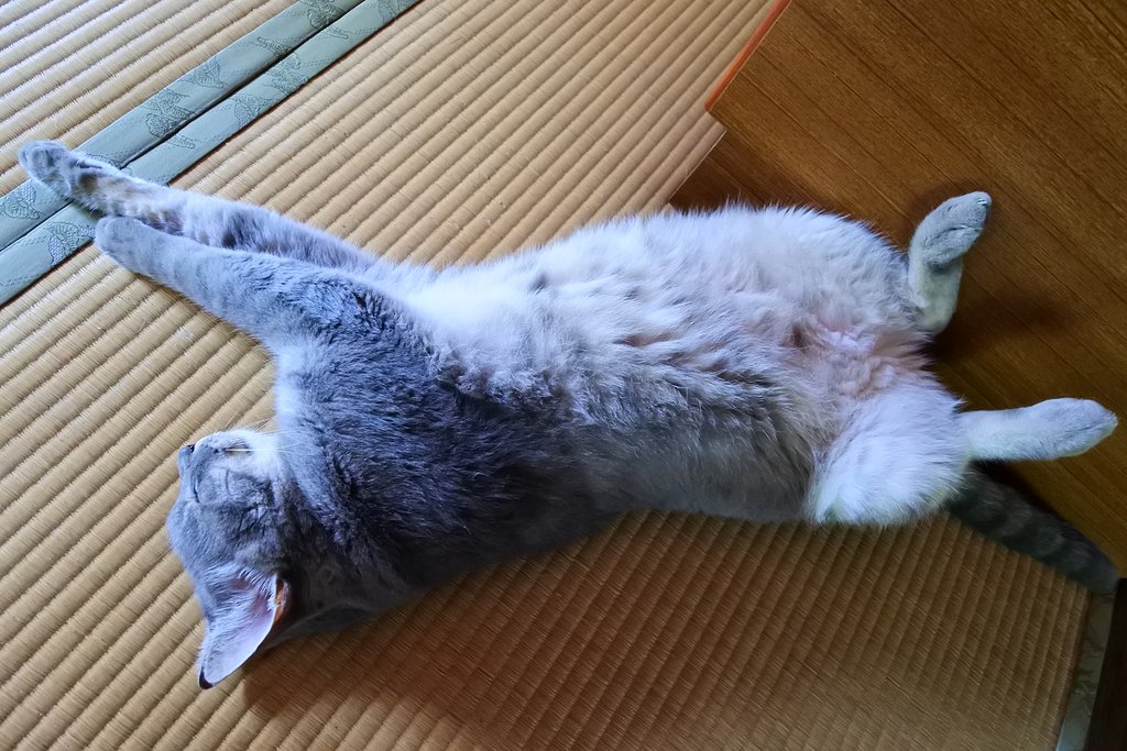 暑くてやってらんねぇ～