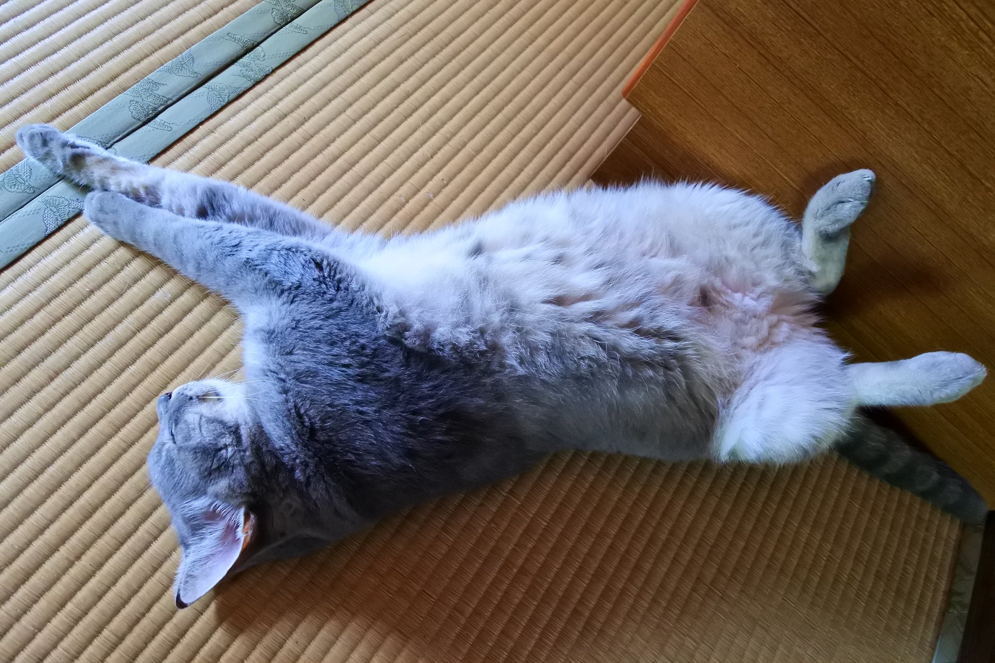暑くてやってらんねぇ～