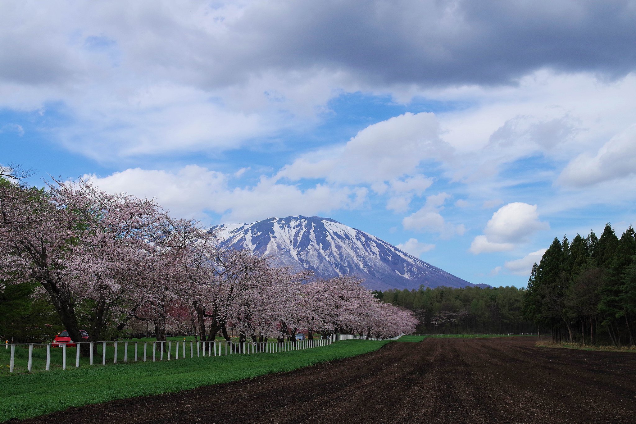 岩手山と桜