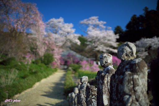 年季の入った