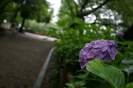 私にも注目して