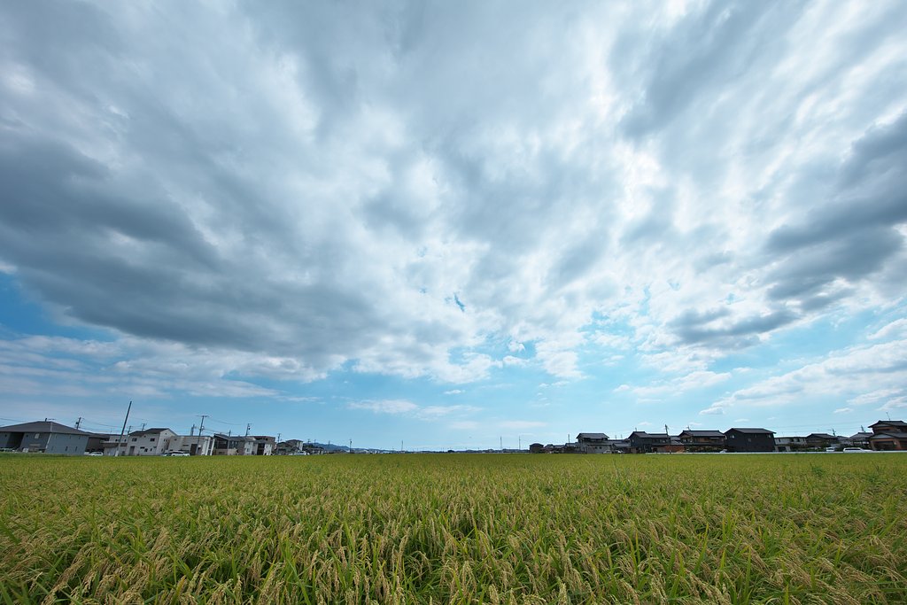 雲日和