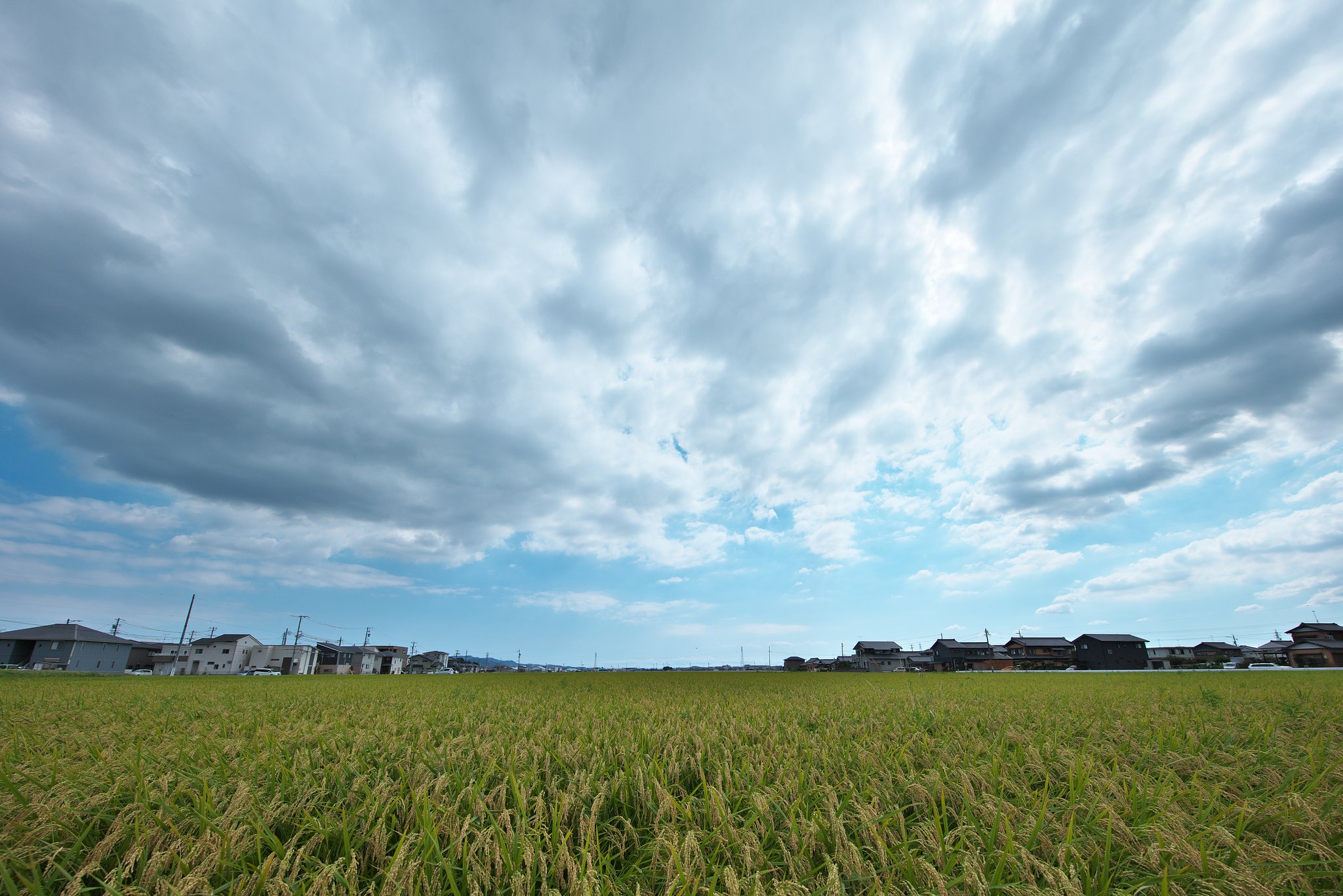 雲日和