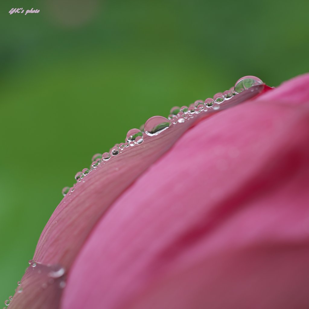 雨ですね～