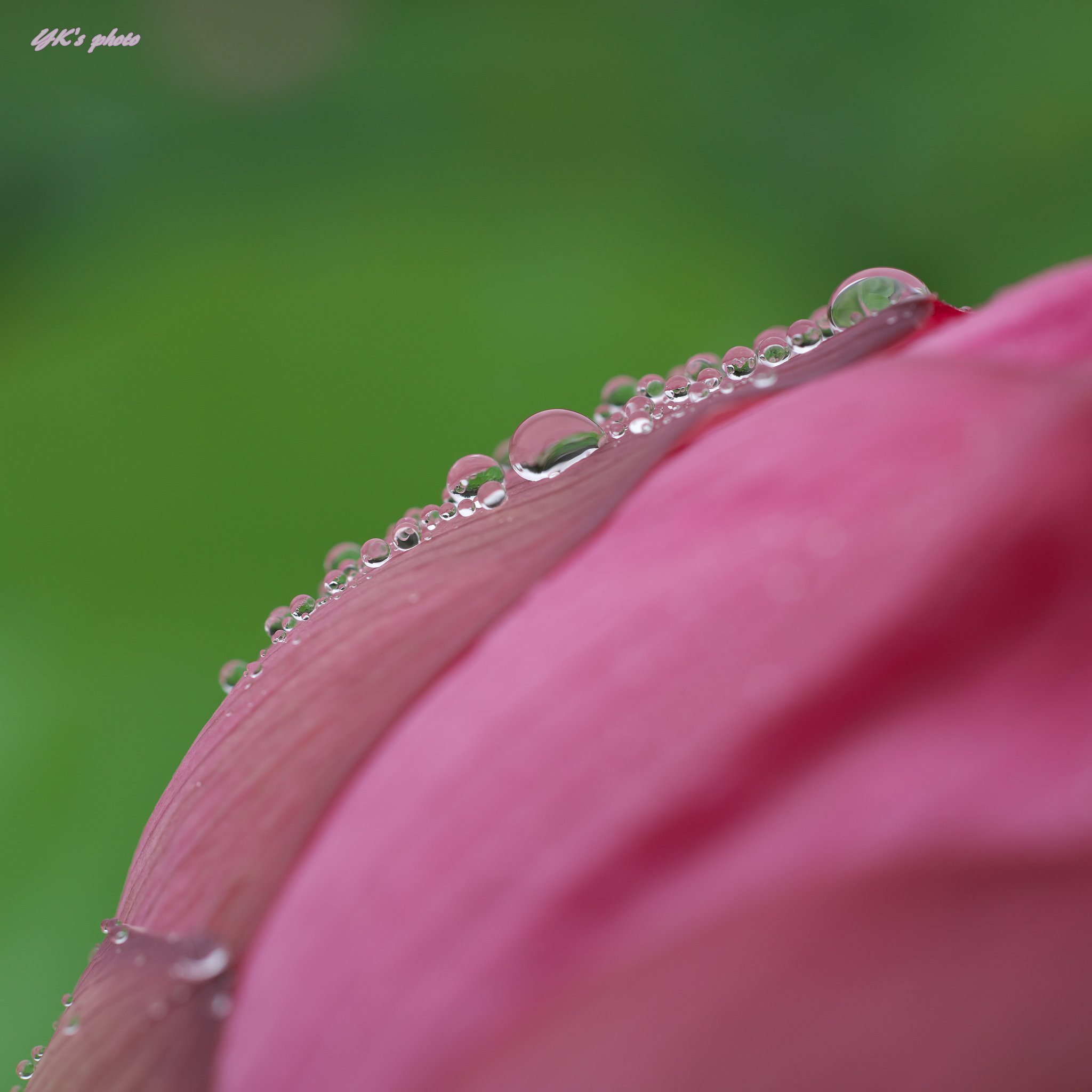 雨ですね～