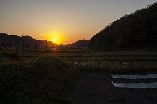 日暮れ！