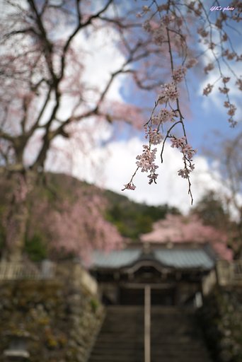 身延山