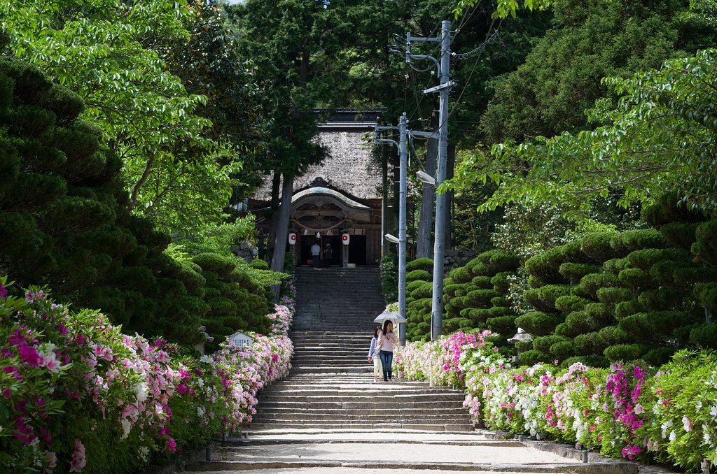 つつじの参道