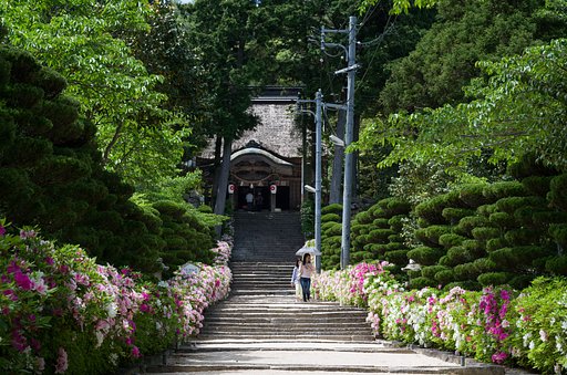 つつじの参道