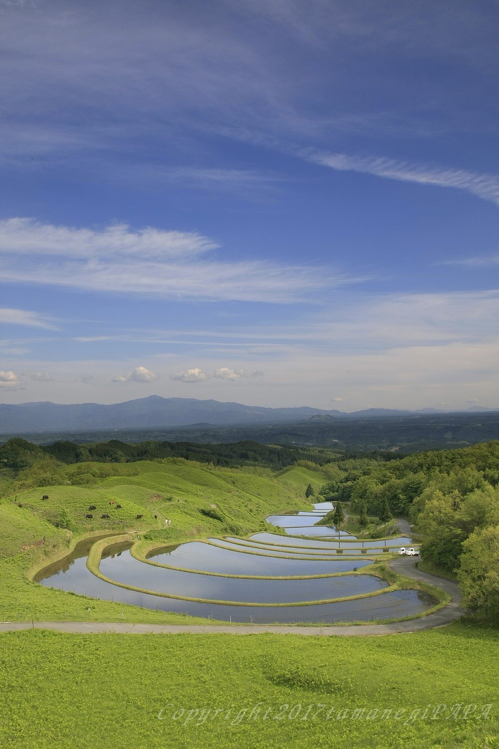 産山村2