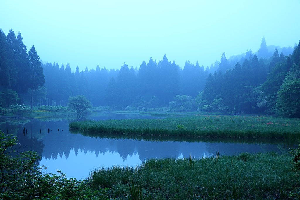 花はまだでした・・・