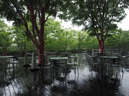 雨のカフェテラス