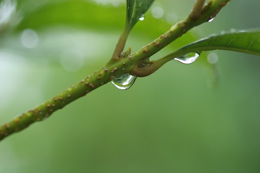TOKINA  100mm  旧