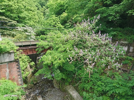 少し萎れた