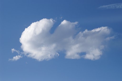 フォーサーズマーケットの上空に