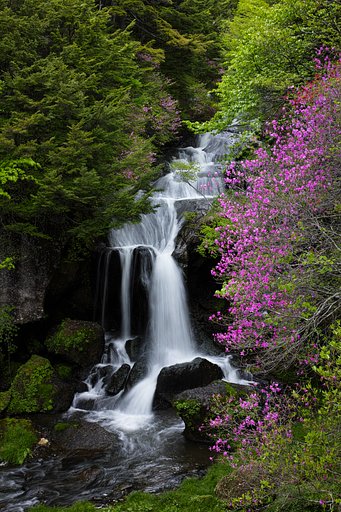 竜頭ノ滝
