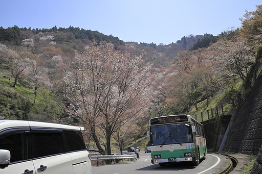 混んでました