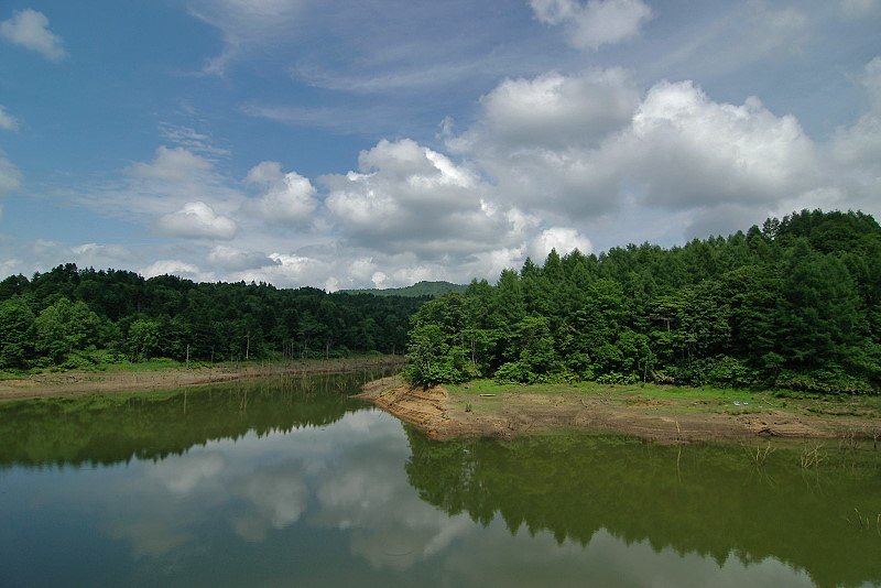 ダム湖の夏