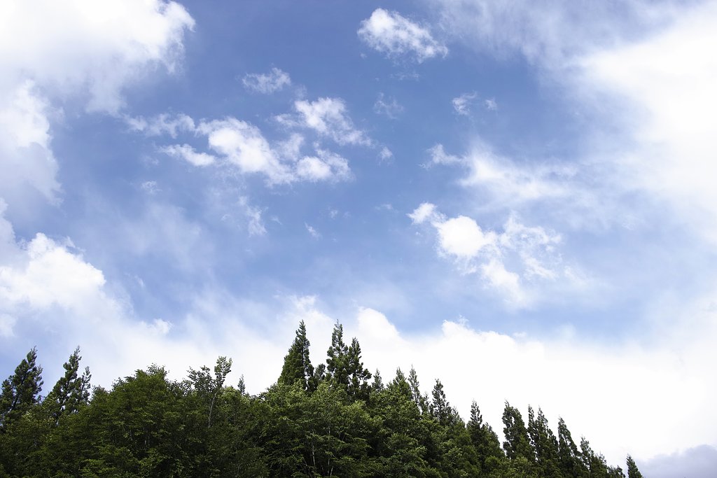 雨上がりの空