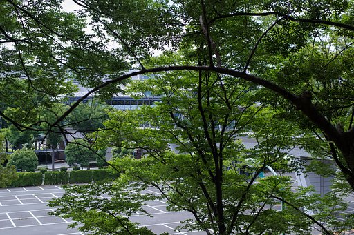 駅から直接