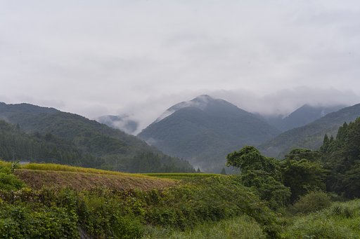 雨降り-2